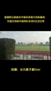 直播吧记者直击中国足球南方训练基地：沉浸式体验中超球队冬训